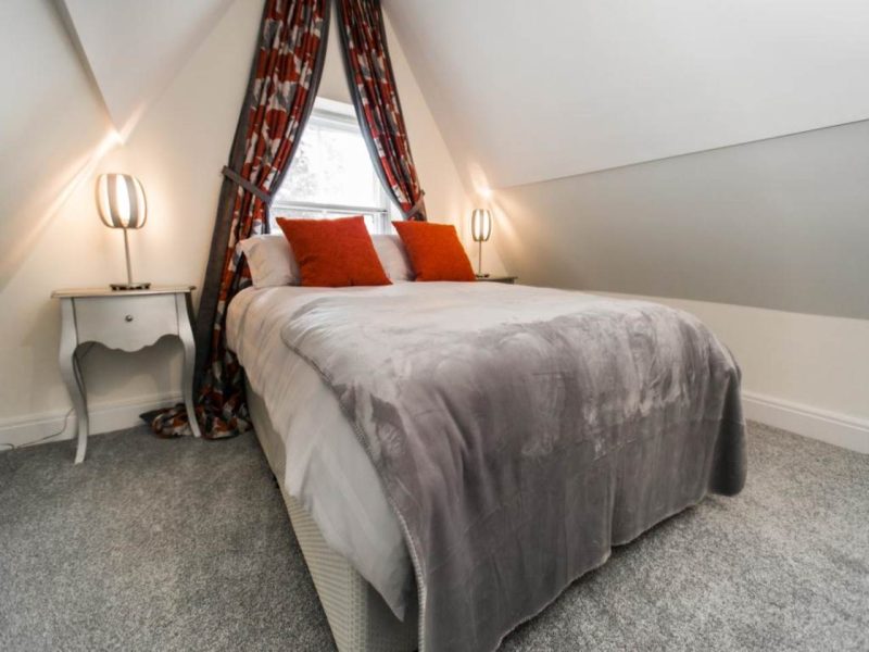 F5 55 NINAN TOAD TY PARC (19)_lge