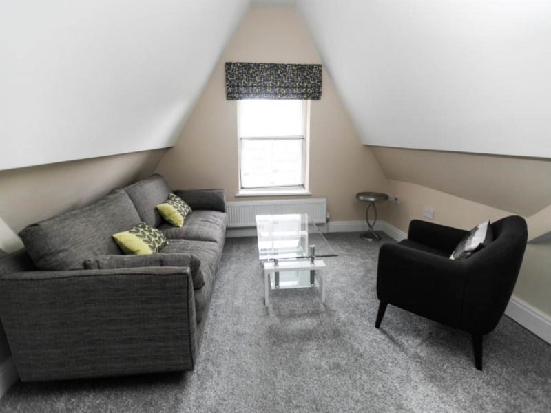 F5 55 NINAN TOAD TY PARC (7)_lge