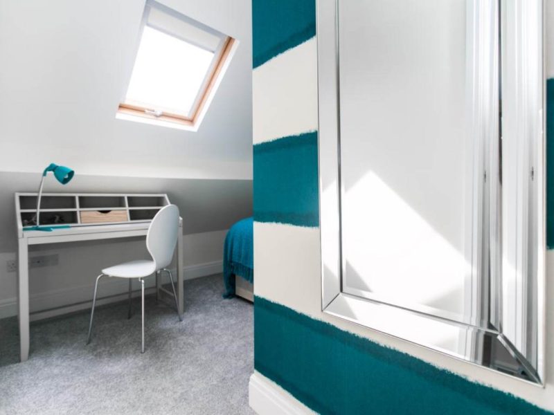 F5 55 NINAN TOAD TY PARC (18)_lge