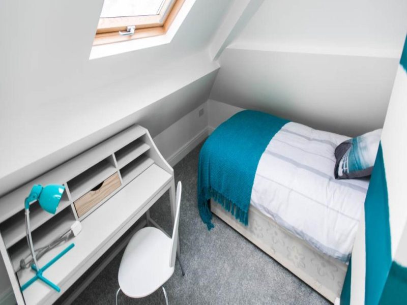 F5 55 NINAN TOAD TY PARC (14)_lge